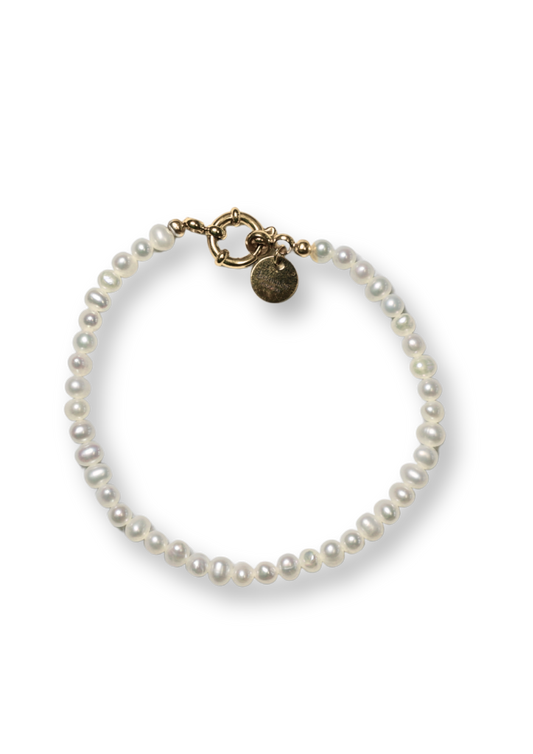 Fred Bracelet