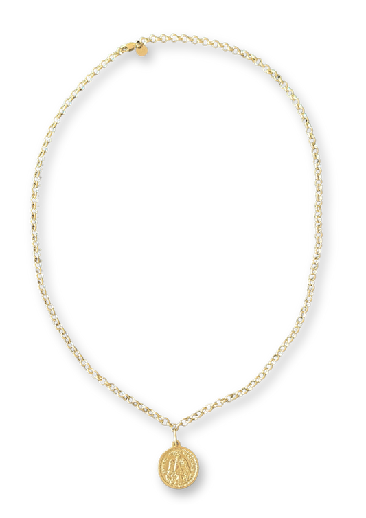 Coin Long Necklace