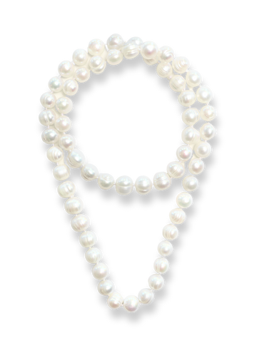 Fred Lang Grote Ketting